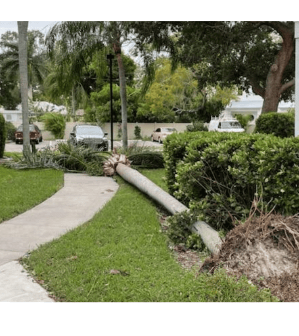 Hurricane Ian 2002 damage, Sarasota, FL